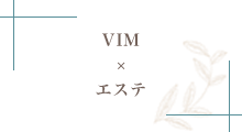 VIM × エステ